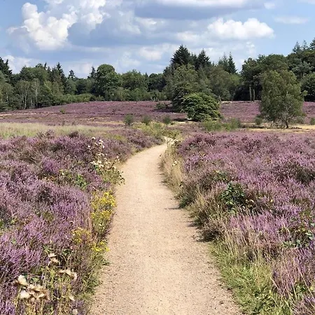 Aan De Rand - Veluwe - Met Sauna Chalet *