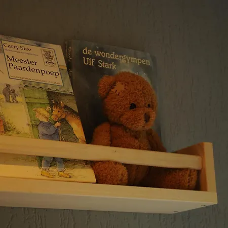 Aan De Rand - Veluwe - Met Sauna 木屋