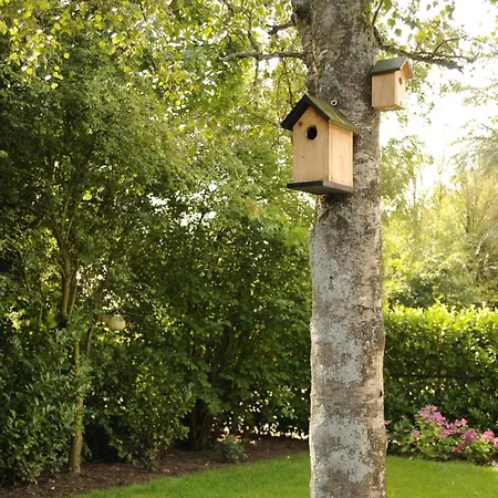 Aan De Rand - Veluwe - Met Sauna Σαλέ Putten