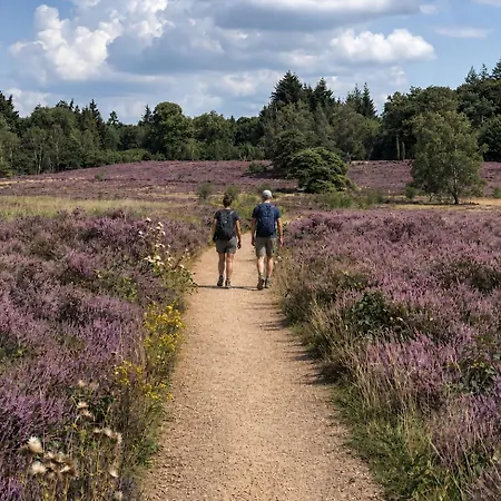 Aan De Rand - Veluwe - Met Sauna Putten