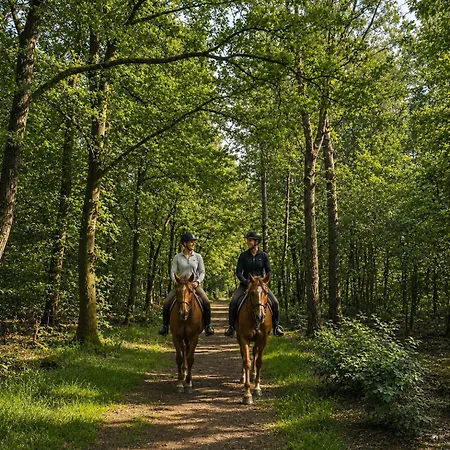 Aan De Rand - Veluwe - Met Sauna Putten
