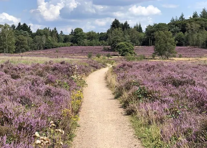 Aan De Rand - Veluwe - Met Sauna Alpstuga *